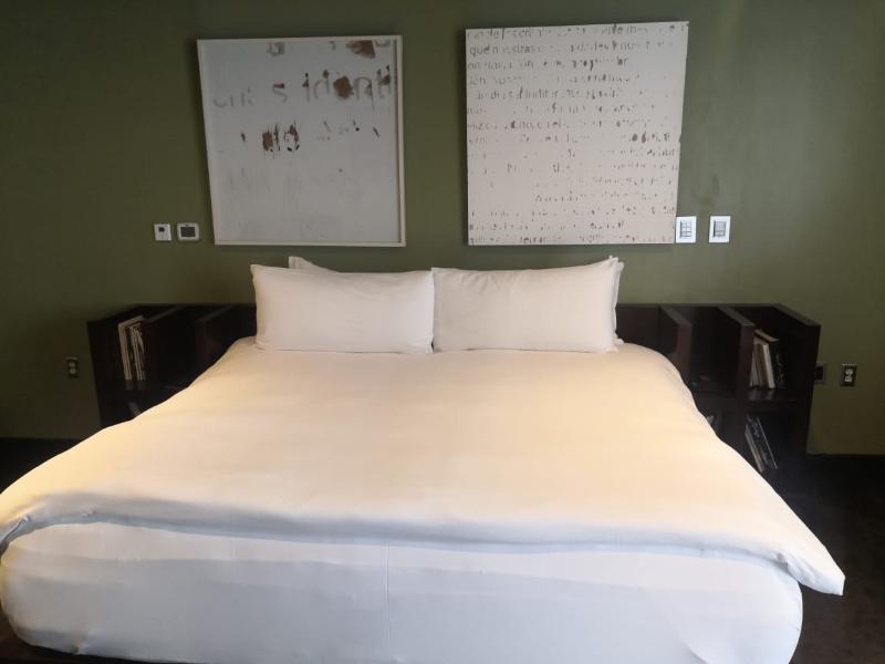 Demetria Hotel Guadalajara Eksteriør billede